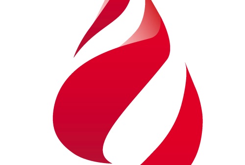 Expressions of Interest – ANZSBT Standing Committees Image