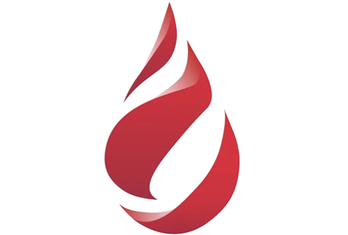 ANZSBT Mentorship Program Webinar Image